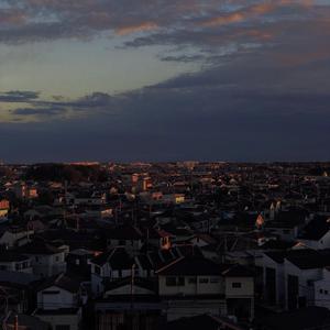 free孕妇╳乄乂乄性
